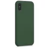Husa Apple iPhone X / iPhone XS, Silicon, Verde, 42495.80