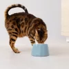 Bol inclinat din ceramica pentru animale de companie Navaris, Albastru, 55230.04