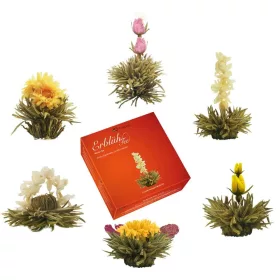   Set degustare ceai infloritor Creano ErbluhTee, 6 sfere, 6 sortimente, ceai alb