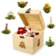Set ceai infloritor Creano ErbluhTee, 6 bile, cutie din lemn decorativa, ceai alb, 11, 5x11, 5x11, 5cm