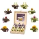 Set cadou ceai infloritor Creano Teelini, 12 plicuri, 8 sortimente, cutie din lemn, ceai alb/negru