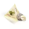 Set cadou ceai infloritor Creano ErbluhTeelini, 6 bile, 4 sortimente, alb, 30 g