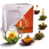 Set cadou ceai infloritor Creano ErbluhTee, 6 sfere, ceai alb/negru, ceainic 500 ml