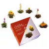 Set cadou ceai infloritor Creano ErbluhTee Mix, 6 bucati, ceai alb/negru