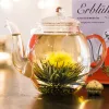 Set cadou ceai infloritor Creano ErbluhTee Mix, 6 bucati, ceai alb/negru