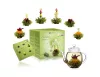 Set cadou ceai infloritor Creano cu ceainic sticla 500 ml, 6 sortimente ceai verde fructat