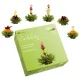 Set degustare ceai infloritor Creano ErbluehTee, 6 bile, ceai verde, 6 arome