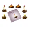 Set degustare ceai infloritor Creano ErbluhTee, 6 bile, 3 sortimente, cutie cadou, ceai negru