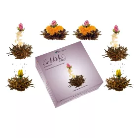   Set degustare ceai infloritor Creano ErbluhTee, 6 bile, 3 sortimente, cutie cadou, ceai negru