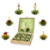 Set cadou ceai infloritor, Creano ErbluhTee, 12 bile, 6 sortimente, cutie din lemn, ceai verde