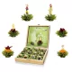 Set cadou ceai infloritor, Creano ErbluhTee, 12 bile, 6 sortimente, cutie din lemn, ceai verde