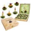 Set cadou ceai infloritor, Creano ErbluhTee, 12 bile, 6 sortimente, cutie din lemn, ceai verde