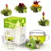 Set cadou ceai infloritor Creano Teelini, cana sticla 200 ml cu capac, 8 plicuri ceai verde
