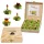 Set cadou ceai infloritor Creano ErbluhTeelini, 12 bile, 4 sortimente, ceai verde, cutie din lemn