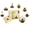 Set cadou ceai infloritor Creano cu ceainic sticla 500 ml, 6 varietati ceai alb/verde/negru