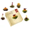Set cadou ceai infloritor Creano ErbluhTee Mix, 6 bile, ceai alb/negru/verde