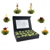 Set cadou ceai infloritor Creano ErbluhTee, 18 bile, 6 sortimente, ceai verde, cutie magnetica