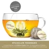 Ceasca pentru ceai Creano Teelini, 200 ml, sticla borosilicata, cu maner